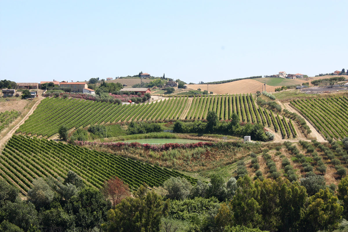 Fosso Corno Galeriebild