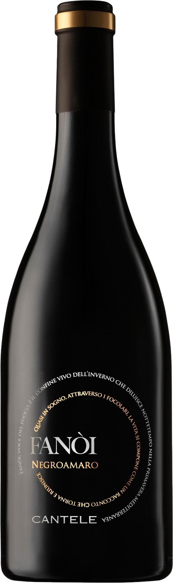 Fanoi Negroamaro Salento IGT