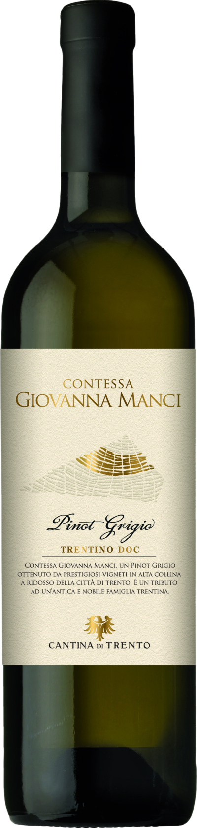 Pinot Grigio Trentino DOC Contessa Manci