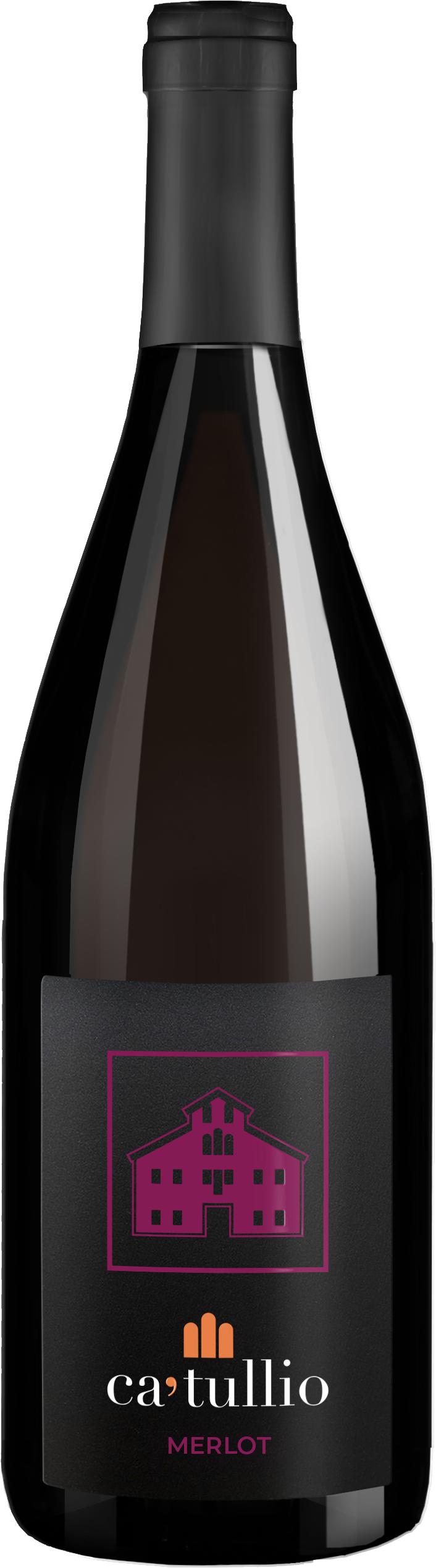 Merlot Friuli Colli Orientali DOC