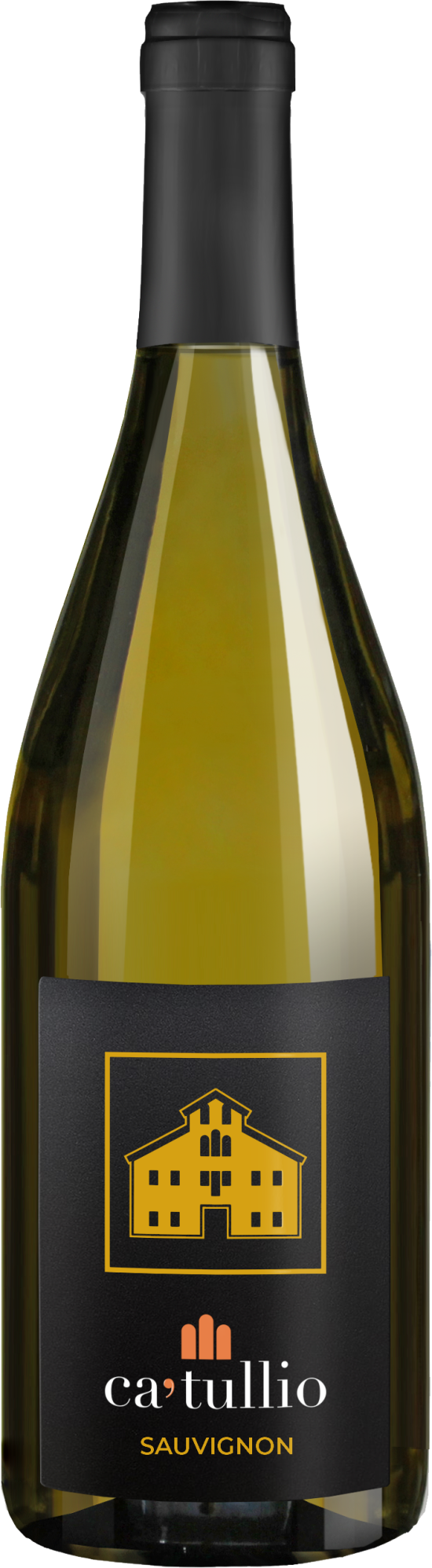 Sauvignon Friuli Colli Orientali DOC