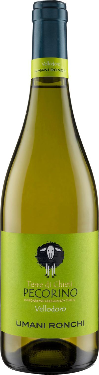 Vellodoro Pecorino Terre di Chieti IGT