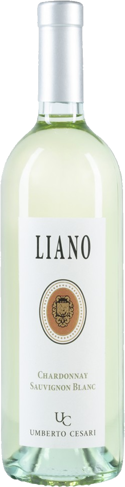 Liano Chardonnay Sauvignon Blanc IGT