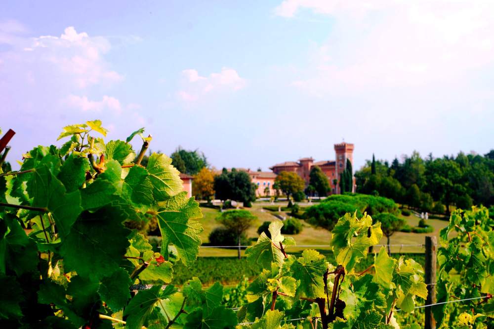 Castello di Spessa Galeriebild
